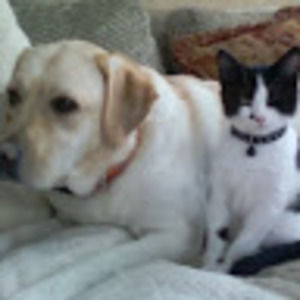 Meet your Posher, Sofia